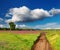 Country road in blossoming field