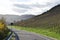 country road at the almost bold vineyards above Klotten