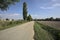 Country road bordered by sparse trees next to fields on a sunny day in the italian countryside