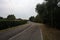 Country road bordered by trees on an embankment on a cloudy day before a rainfall