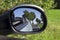 Country road in car side mirror