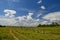 country road, cattle fence, field, forest, and clouds at summer