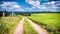 Country road on cloudy summer day. Nature background