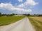 Country road and clover fields in a patchwork summer landscape