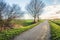 Country road in a Dutch polder landscape