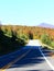 Country Road in Fall