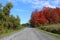 Country Road in Fall