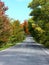 Country Road in Fall