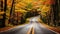 COUNTRY ROAD IN FALL AUTUMN Dramatic, moody scene of rural highway running through beautiful forest landscape. Orange and green