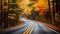 COUNTRY ROAD IN FALL AUTUMN Dramatic, moody scene of rural highway running through beautiful forest landscape. Orange and green