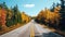 COUNTRY ROAD IN FALL AUTUMN Dramatic, moody scene of rural highway running through beautiful forest landscape. Orange and green