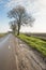 Country road in the fall season