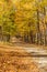 Country road in fall, Vermont.