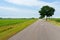 Country road in fields