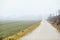 Country road in fog