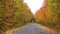 Country road in the forest in autumn. View from the rear window of the car onto an autumn forest road.