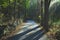 Country Road Into Forest With Cobble Stone Wall And Sunlight