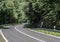 Country road in the forest concrete with speed limit signs of 50 km hour sunny day