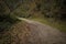 A country road in the forest next to Pena Village