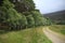 Country road in the forest in the village Braemar in Scotland in the summer.