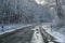 Country road through a forest in winter, danger on the slippery wet and freezing asphalt, traffic and transportation concept, copy