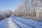 Country Road Among Frosted Trees. Winter forest on a sunny day. road covered with snow