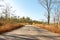 Country road full of trees on both sides.