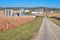 Country Road Going Through Farm Fields