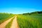 Country Road in Grain Field,  a Kansas  USA