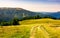 Country road through grassy hillside