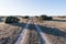 Country road in a great plain landscape