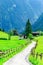 Country road and green alpine meadows, Austria