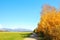 Country road with green field on one side and yellow autumn coloured trees on other, mount Krivan Slovak symbol clear sky