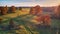 Country road on green fields. Sunny aerial panorama, Belarus. Landscape with cork oaks