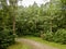 country road in green forest and fields drone aerial image