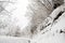 Country road leading among frosted trees in shirakawago, Takayama