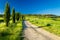 Country road leading to Pienza, Tuscany