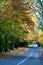 A country road at Mount wilson in Australia