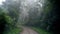 country Road on the mountain in jungle and rain forest of Thailand. Road trip and freedom travel concept. Soft and