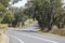 Country road in Mudgee, Australia