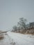 Country road near the leafless forest. Numb winter nature under snowstorm weather