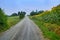 Country road near Vigolo Marchese Piacenza, Italy