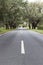 Country road with old cork oaks