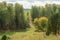 A country road passes through glades and forest