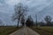 Country road on the plain with silhouettes of trees, telephone pole and rural house.