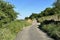 Country road, with plants, and dry stone walls near, Cliffe Lane, Thornton, UK