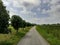 A country road with pollarded trees between the fields in springtime