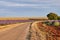 Country road in Provence, in summer