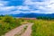 Country road Rhodope Mountains meadow Bulgaria