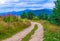 Country road Rhodope Mountains meadow Bulgaria